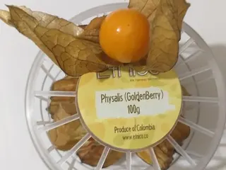 Physalis