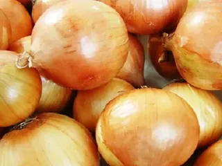 Cebola média