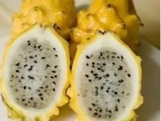 Pitaya casca amarela da polpa branca