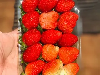 Morango minas