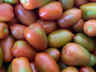 Tomate italiano