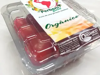 Tomate grape orgânico