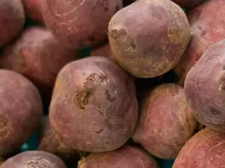 Beterraba