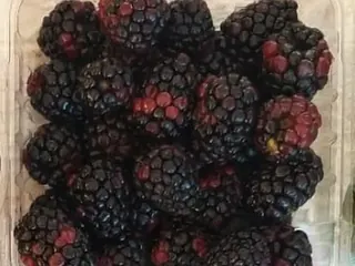 Amora pérola negra