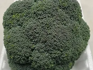 Brócolis
