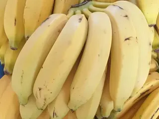 Banana prata