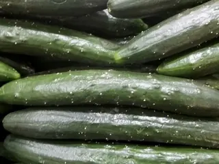 Pepino japonês especial