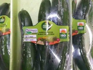 Pepino japonês orgânico