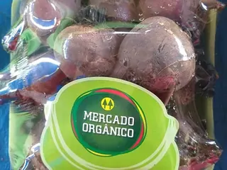 Beterraba orgânica