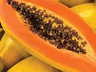 Mamão formosa