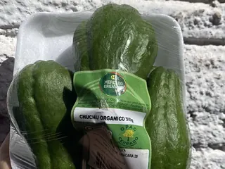 Chuchu orgânico