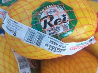 Melão rei amarelo