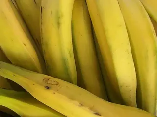 Banana da terra